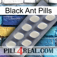 Black Ant Pills 08